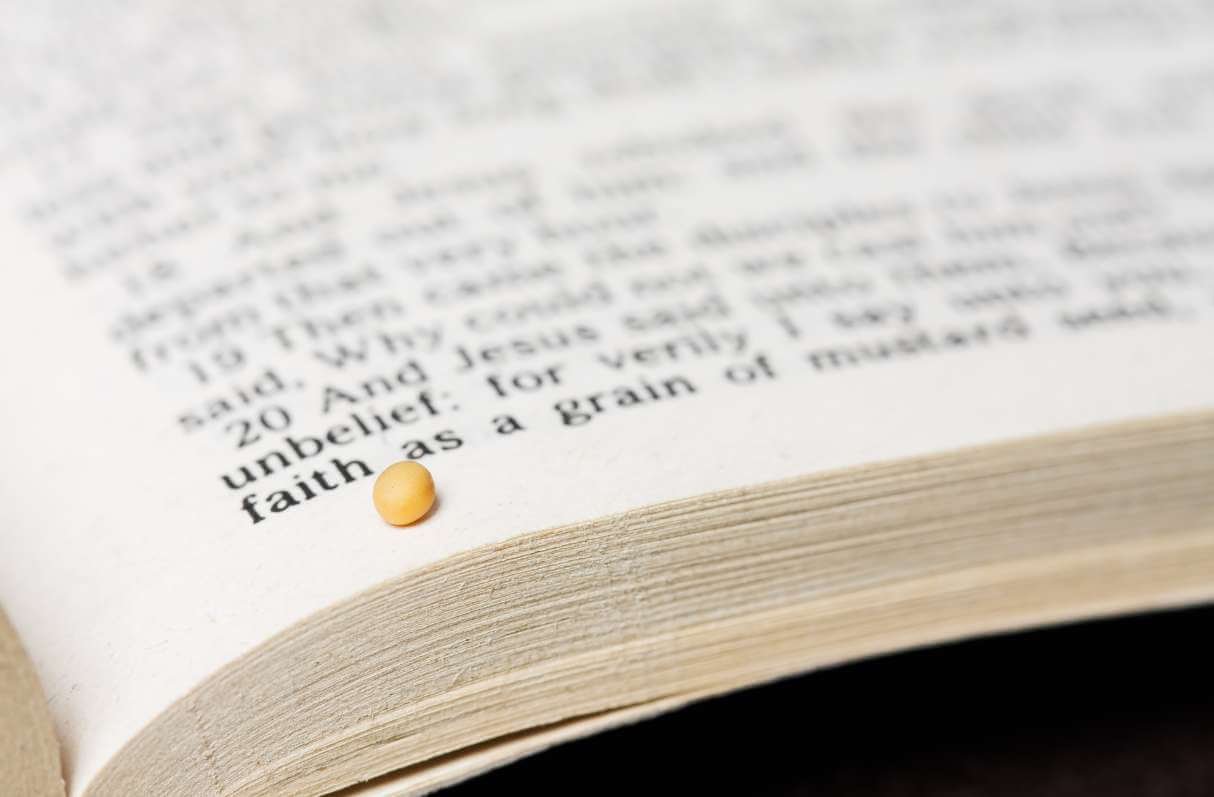 A-Parábola-do-grão-de-mostarda