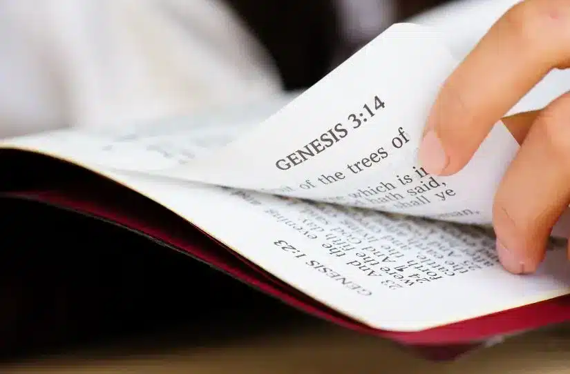 Gênesis 8 – Renovação e Promessa